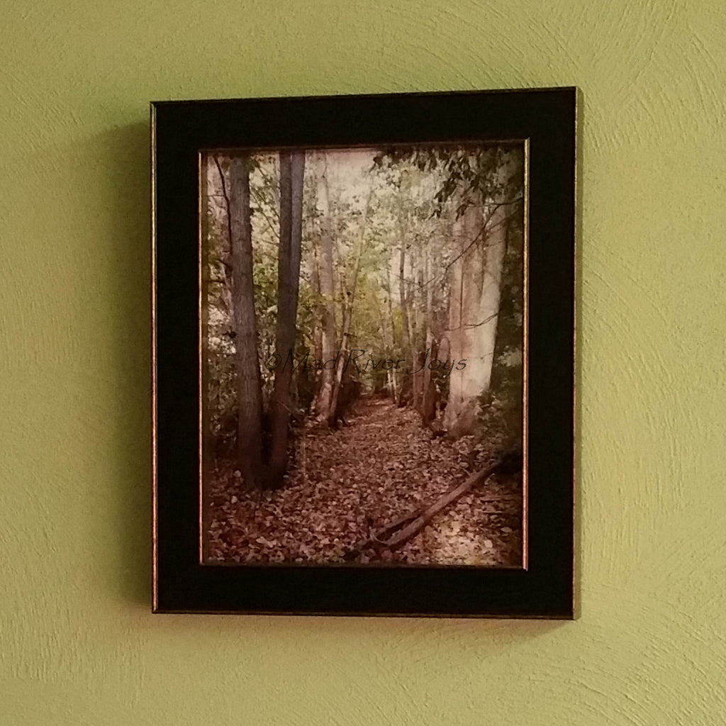Photo Print--Framed--8" x 10"--Water Allee