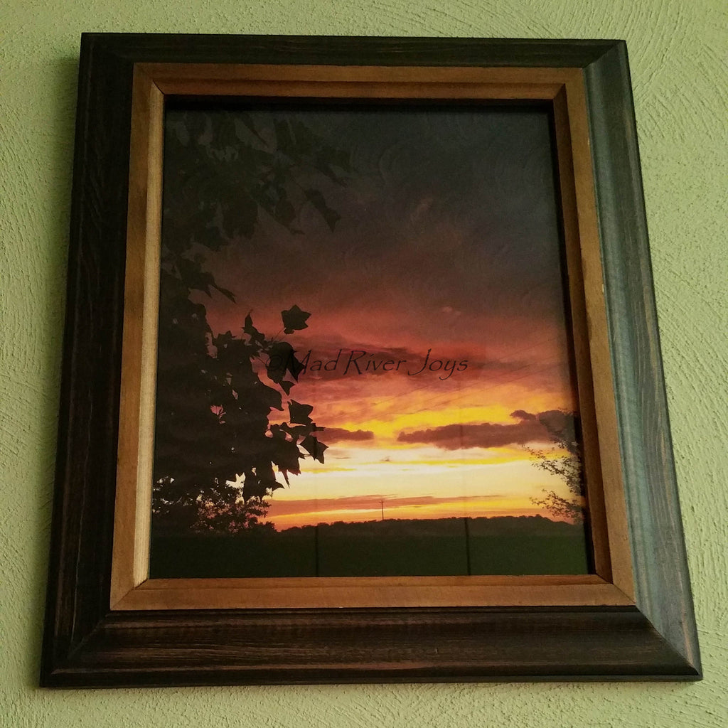 Photo Print--Framed--8" x 10"--Tulip Tree Sunset