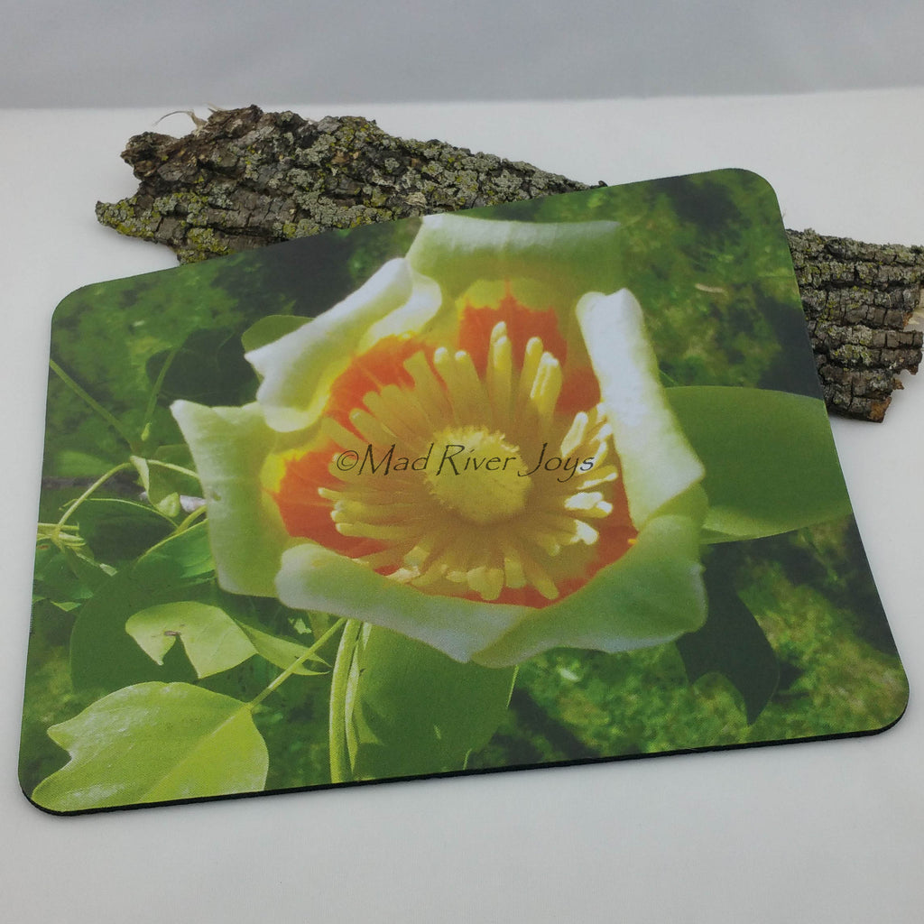 Mouse Mat--Photo Print--Foam--Tulip Tree Flower
