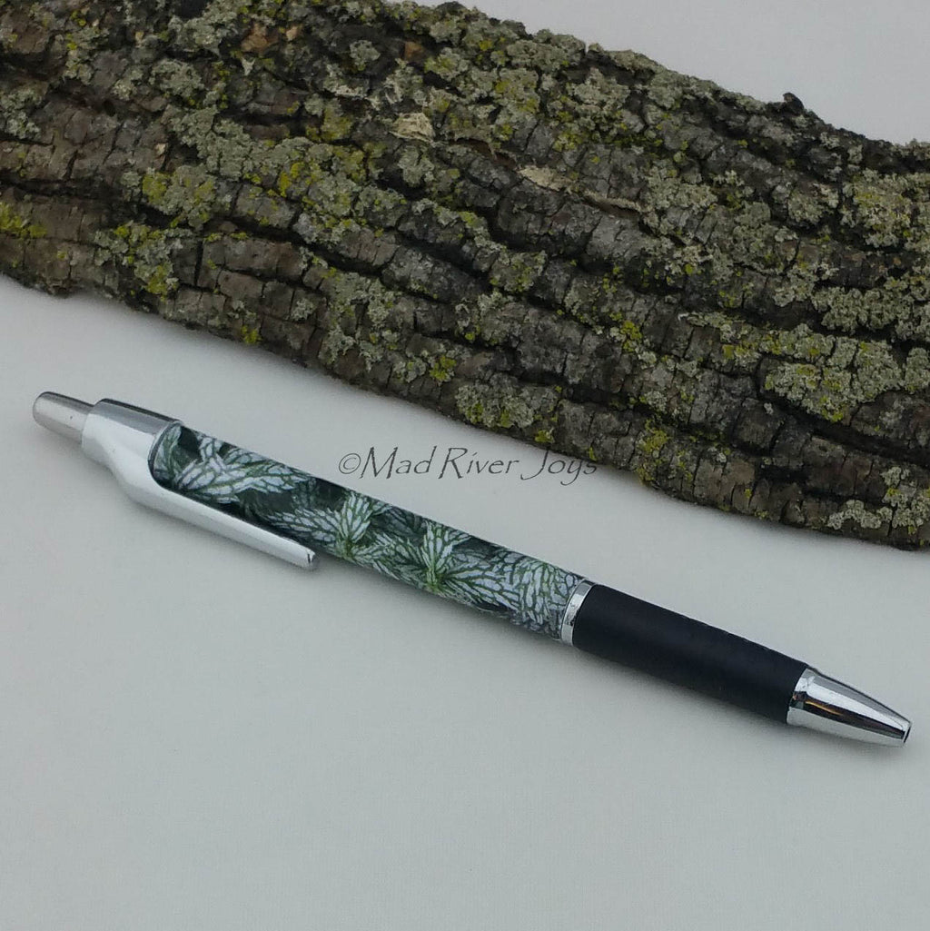 Pen--Photo Print--Debra Smith Tolley