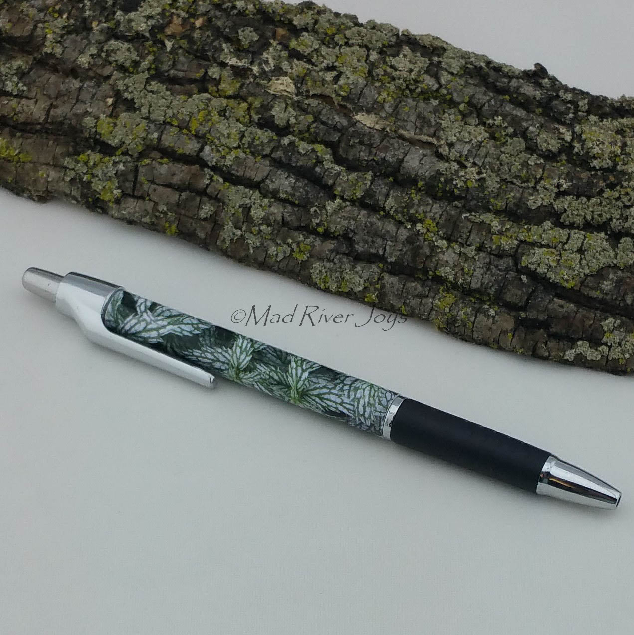 Pen--Photo Print--Debra Smith Tolley
