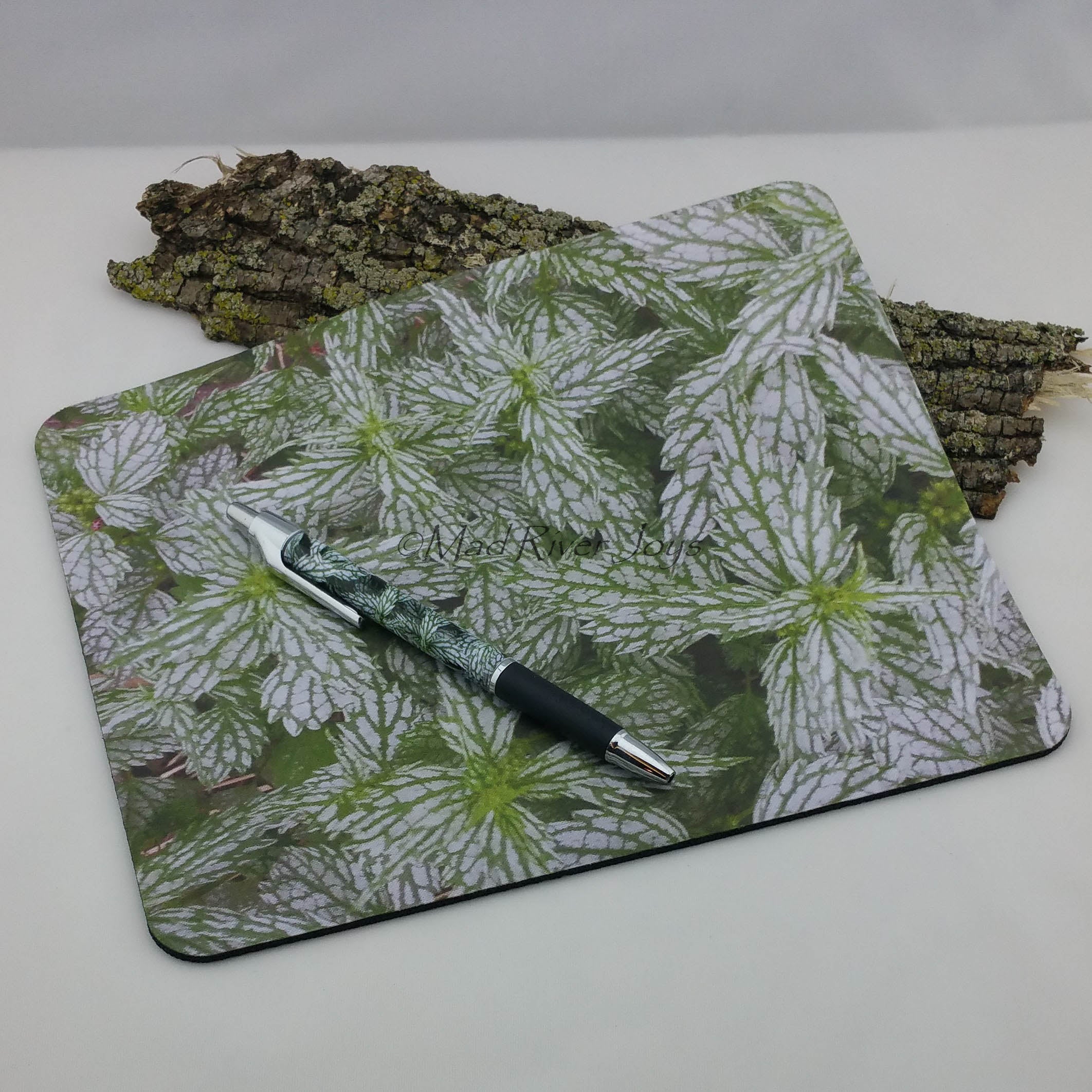 Pen--Photo Print--Debra Smith Tolley