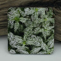 Coaster--Photo Print--Cork--Lamium