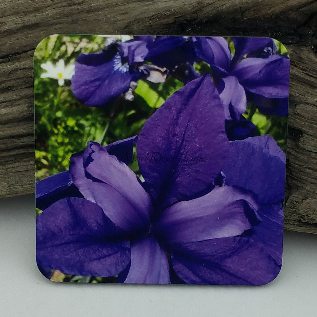 Coaster--Photo Print--Cork--Purple Iris