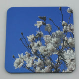 Coaster--Photo Print--Cork--Star Magnolia