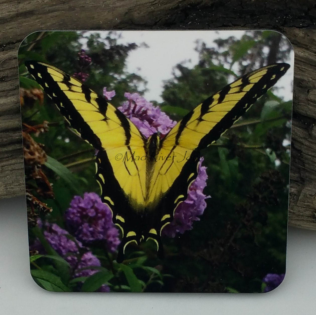 Coaster--Photo Print--Cork--Eastern Tiger Swallowtail Butterfly