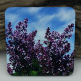 Coaster--Photo Print--Cork--Common Lilac
