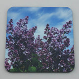 Coaster--Photo Print--Cork--Common Lilac