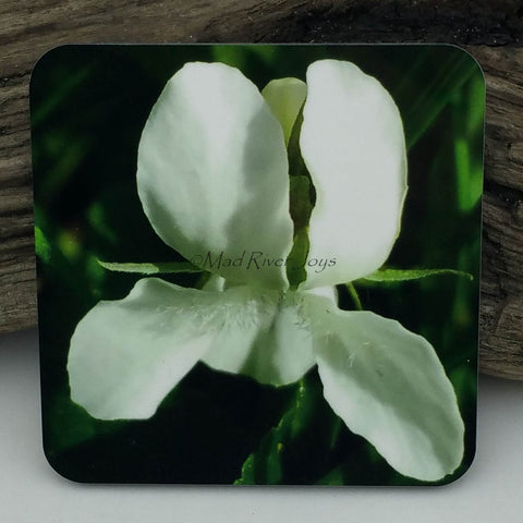 Coaster--Photo Print--Cork--Sweet White Violet