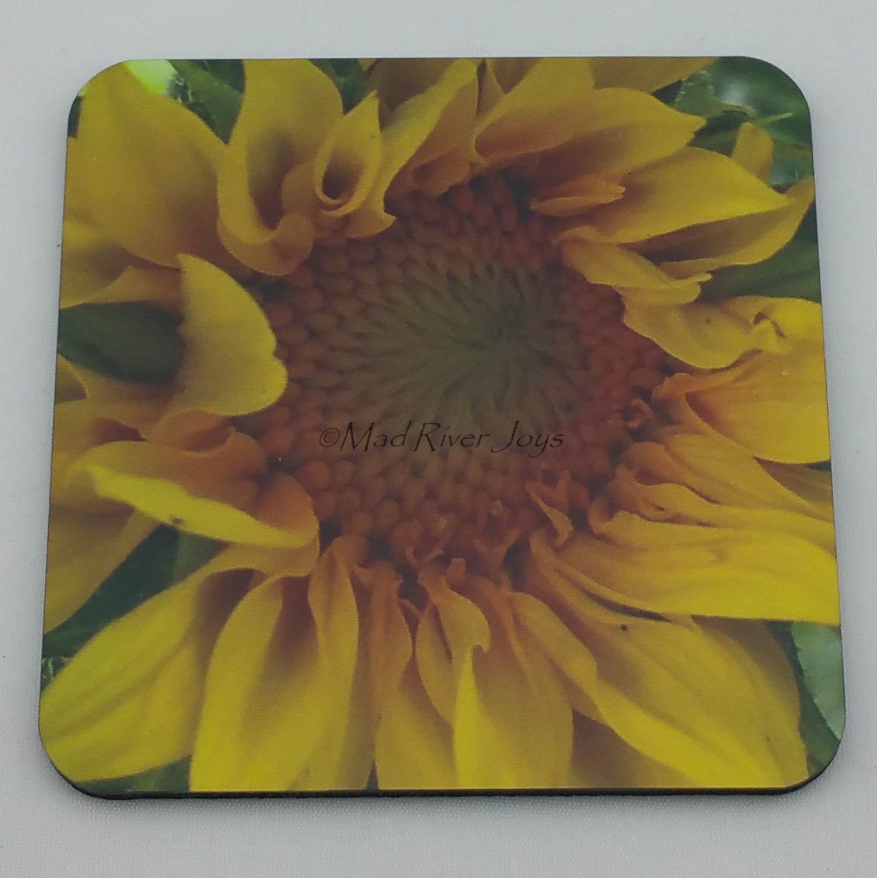 Coaster--Photo Print--Cork--Sunflower