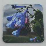 Coaster--Photo Print--Cork--Virginia Bluebells