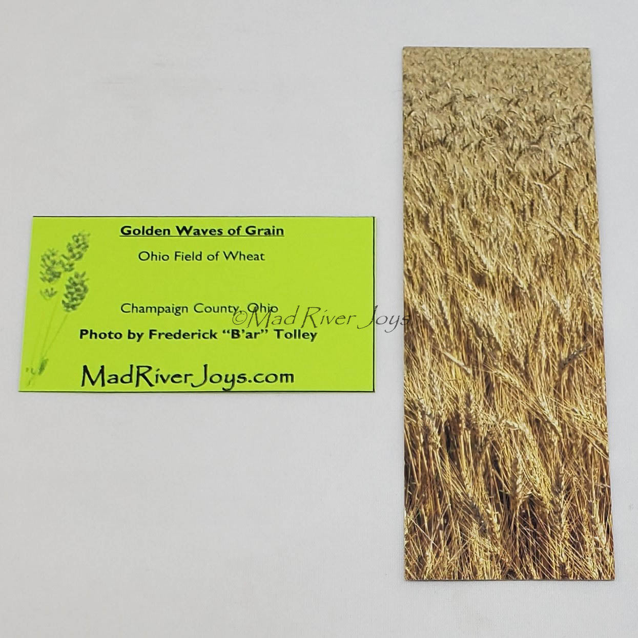 Bookmark--Photo--Bookmarks by B'ar Tolley