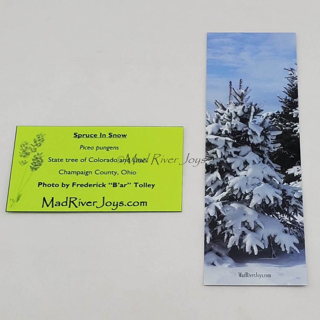 Bookmark--Photo--Bookmarks by B'ar Tolley