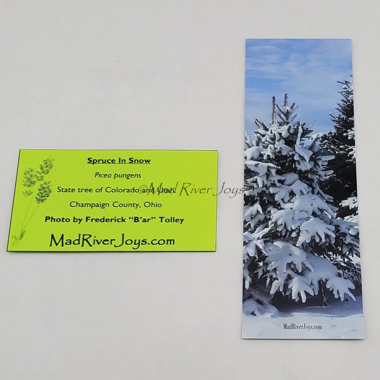 Bookmark--Photo--Bookmarks by B'ar Tolley