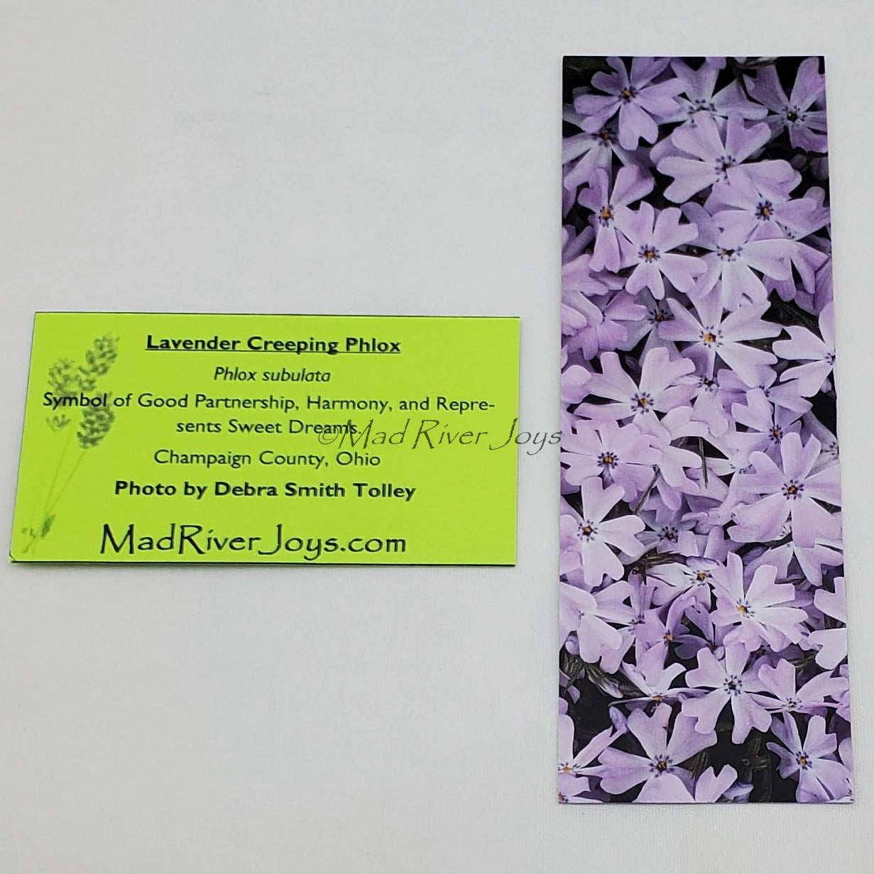 Bookmark--Photo--Bookmarks by DST