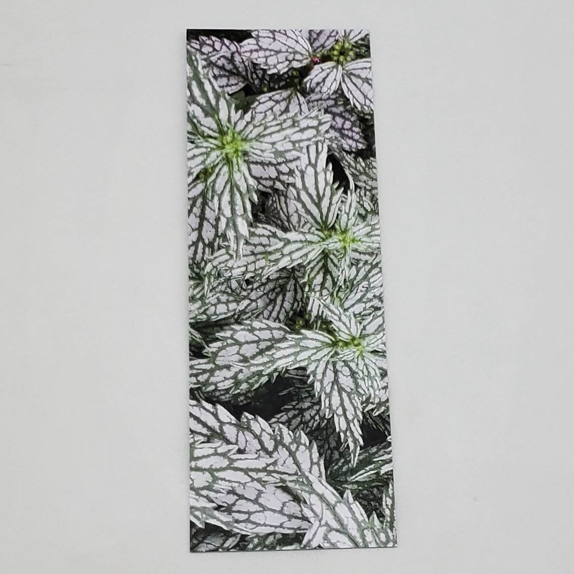 Bookmark--Photo--Bookmarks by DST