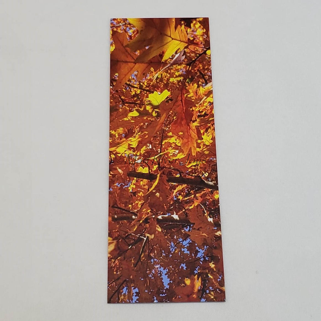 Bookmark--Photo--Bookmarks by B'ar Tolley