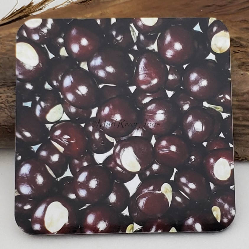 Coaster--Photo Print--Cork--Buckeyes