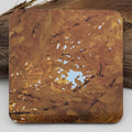 Coaster--Photo Print--Cork--Ginkgo Gold
