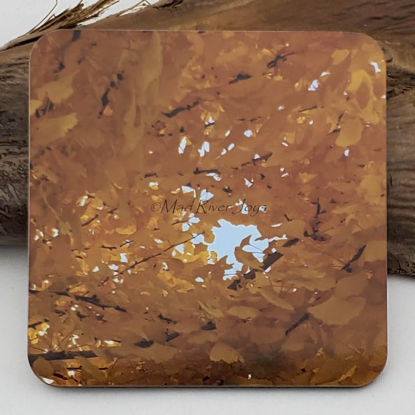Coaster--Photo Print--Cork--Ginkgo Gold