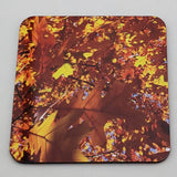 Coaster--Photo Print--Cork--Oak Lights
