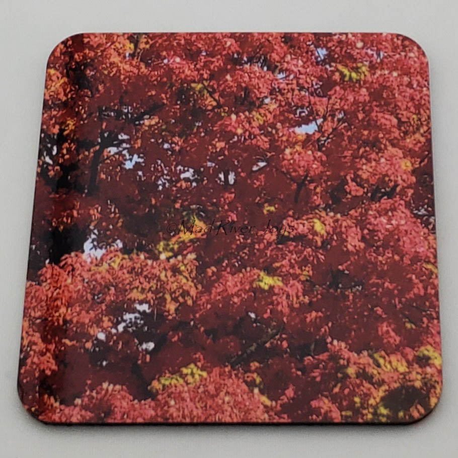 Coaster--Photo Print--Cork--Sugar Maple Color