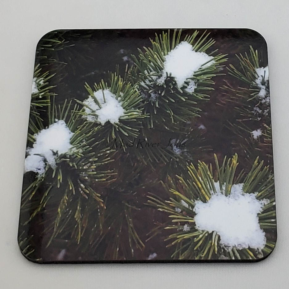 Coaster--Photo Print--Cork--Snow on the Mugo