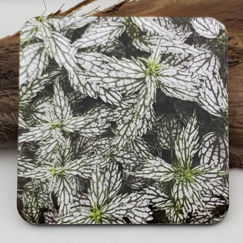 Coaster--Photo Print--Cork--Lamium