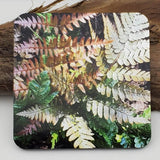 Coaster--Photo Print--Cork--Japanese Autumn Fern